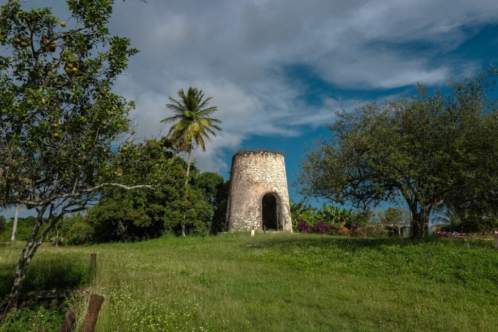 Storia dell’isola caraibica che prima del rhum viveva grazie al color indaco