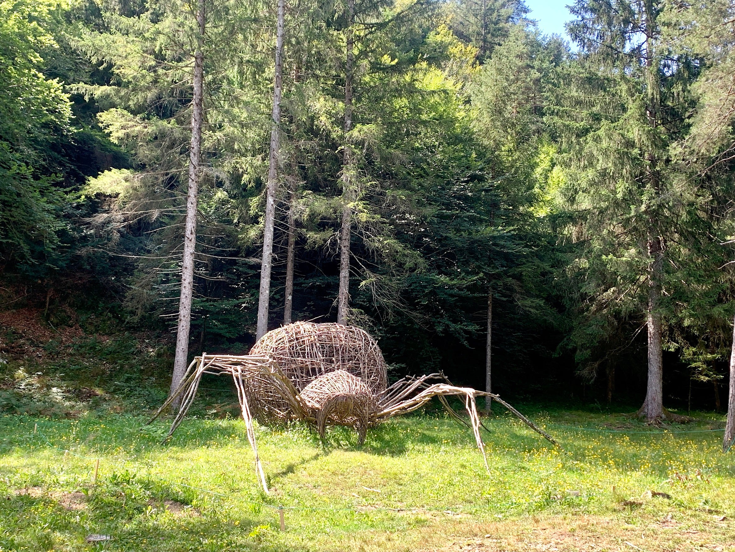 https://www.artribune.com/wp-content/uploads/2026/08/ledro-land-art-photo-claudia-zanfi-1.jpg