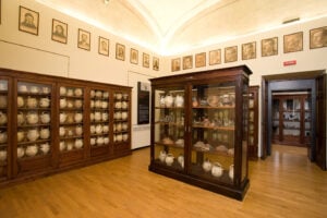 Musei universitari (questi sconosciuti!)