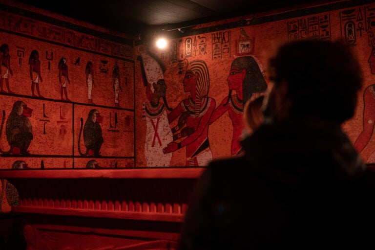 Tutankhamon. La tomba, il tesoro, la scoperta