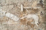 L&rsquo;artista che seppelliva le opere per tornare alle origini. Claudio Costa riscoperto a Torino&nbsp;