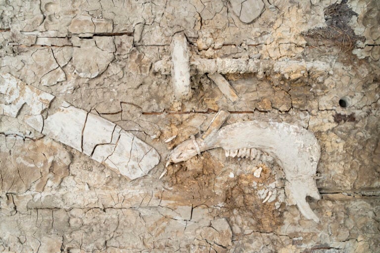 L&rsquo;artista che seppelliva le opere per tornare alle origini. Claudio Costa riscoperto a Torino&nbsp;