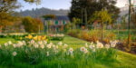 Il giardino di Claude Monet a Giverny sopravviverà al cambiamento climatico (ma dovrà cambiare)