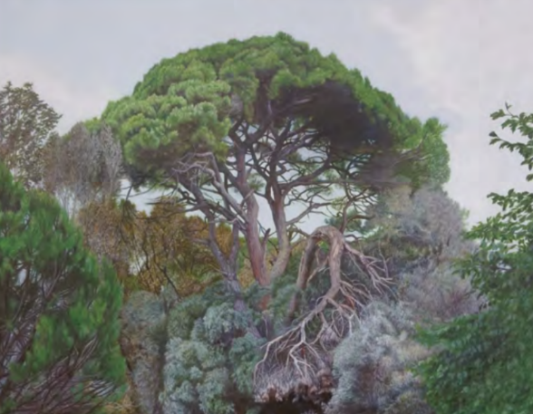 Rebecca Aliboni – Il nostro Parnaso: pinete e marine della Versilia