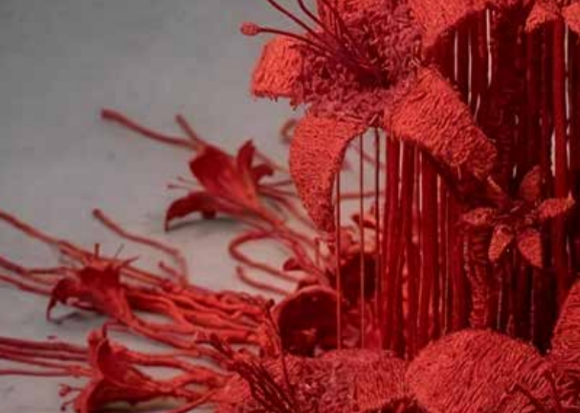 Elham M. Aghili – Tutto rose e fiori