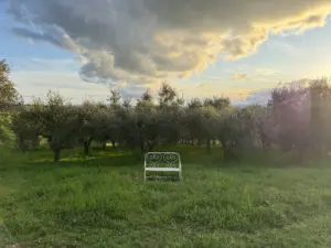 In una storica villa in Umbria è nata una residenza d’artista che punta al silenzio e alla calma. Intervista al fondatore