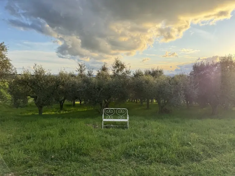 In una storica villa in Umbria è nata una residenza d’artista che punta al silenzio e alla calma. Intervista al fondatore