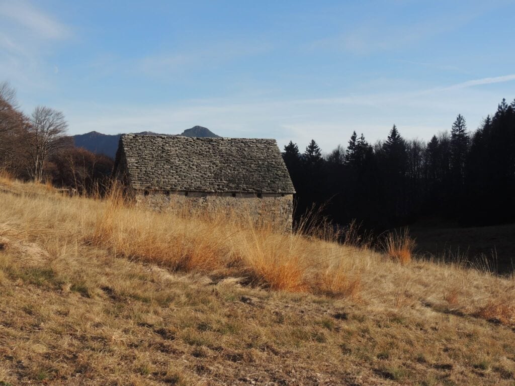 Un paesaggio rurale alpino nella Valle dei Pittori