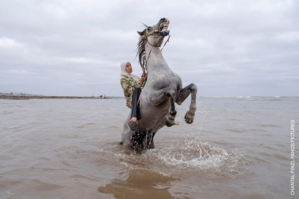 World Press Photo 2026