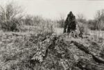 Ana Mendieta Untitled (Silueta Series) 1978 fotografia in bianco e nero cm 33,7 &times; 50,8 inv. AN1001 Galleria Raffaella Cortese, Milano, Collezione LZ Milano