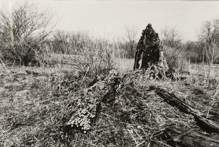 Ana Mendieta Untitled (Silueta Series) 1978 fotografia in bianco e nero cm 33,7 &times; 50,8 inv. AN1001 Galleria Raffaella Cortese, Milano, Collezione LZ Milano