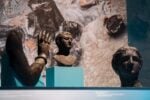 Etruschi e Veneti in mostra a Palazzo Ducale di Venezia, Ph Luca Chiandoni