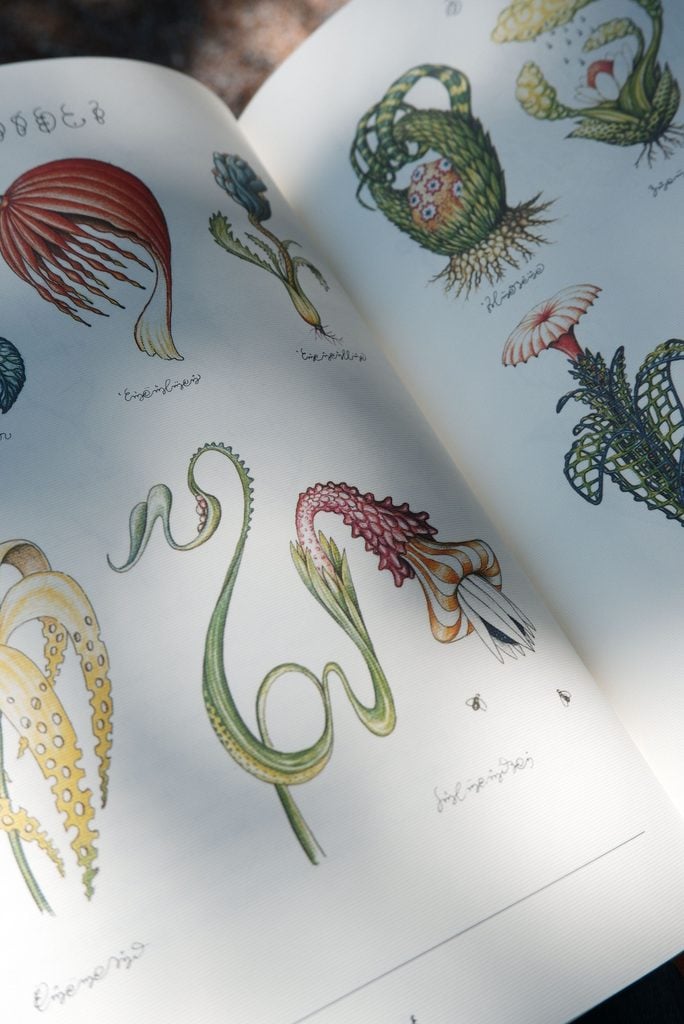 Codex Seraphinianus. Photo courtesy of Orticolario