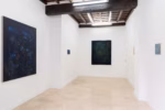 Vera Portatadino, Talking to Strangers at Night, Galleria Richter, Roma, 2026