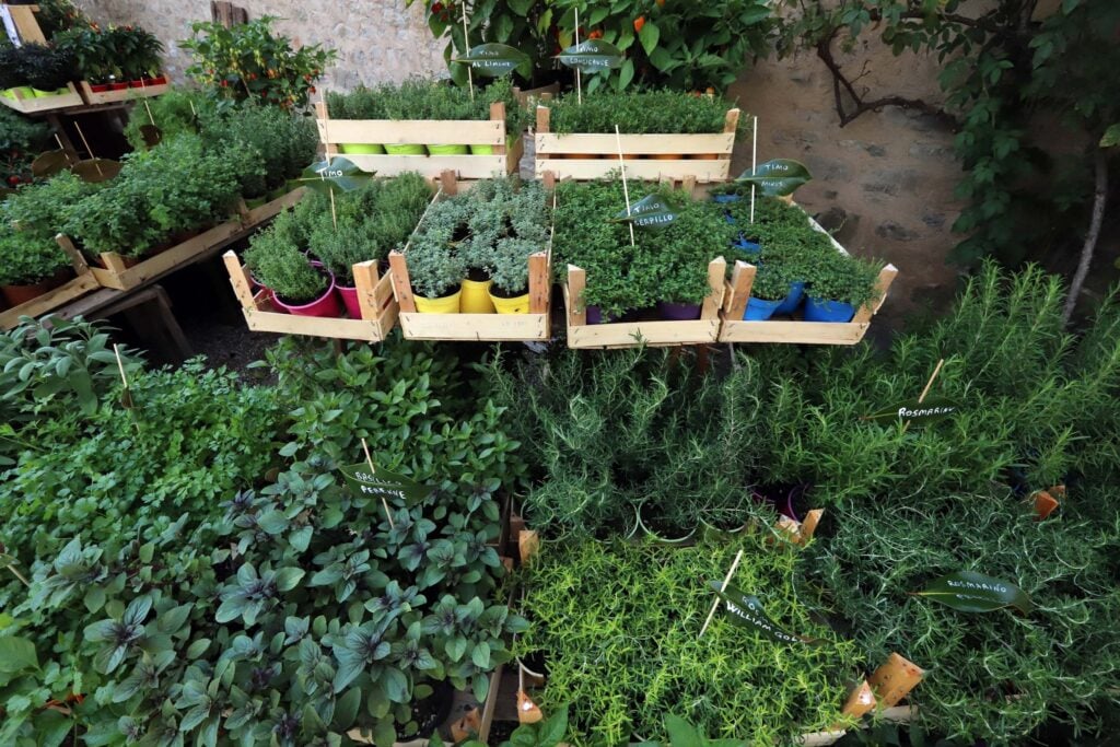 Tra giardini e paesaggi. Borgo Plantarum: la nursey delle piante. Crediti Borgo Plantarum