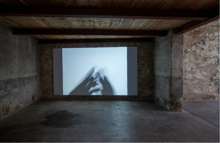 La mostra "Promemoria personale (ad uso pubblico)" a Villa Rospigliosi. Daniela De Lorenzo, Aiutanti, 2009