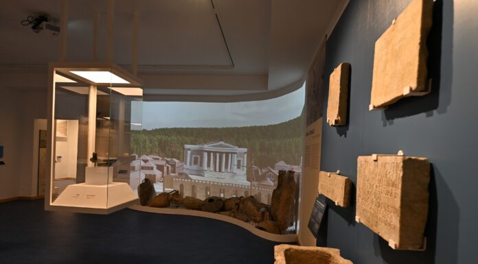 Il nuovo allestimento del Museo Archeologico Nazionale di Civitavecchia