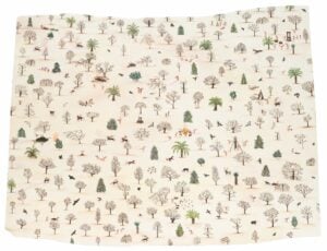 Eline Vansteenkiste - Under the Shade of a Coolabah Tree