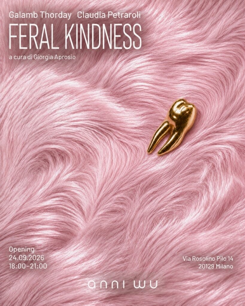 Galamb Thorday / Claudia Petraroli – Ferial Kindness