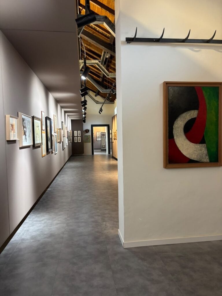 il Museo &ldquo;Fanny Usellini&rdquo; - Polo di Inclusione Sociale ad Arona in Piemonte
