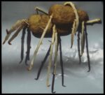 Fotografia analogica di germogli di patata in forma scultorea, Isa Hesse-Rabinovitch