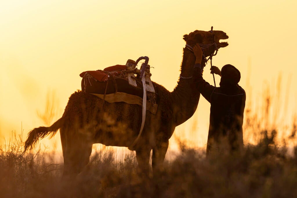 Terre di Sicilia e Tunisia