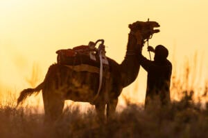 Terre di Sicilia e Tunisia