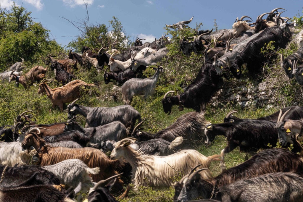 Duronia, il borgo molisano sorvegliato da un gigante di pietra 
