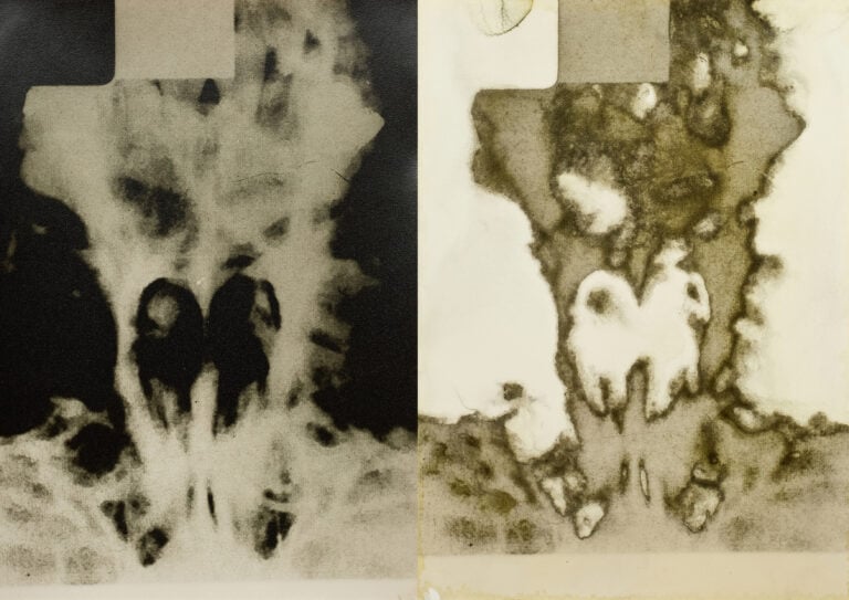 Veronica Benedetti, H₂O₂, 2026