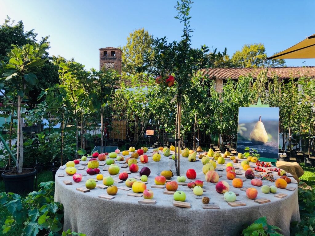 Tra giardini e paesaggi: I Frutti del Castello, crediti Carla Soffritti