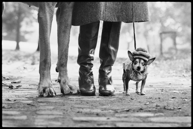 Elliott Erwitt – L’arte di osservare