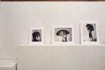 Kazuko Miyamoto, Dancing around the entrance to the cellar. Courtesy Galleria Bonomo Roma, Installation view