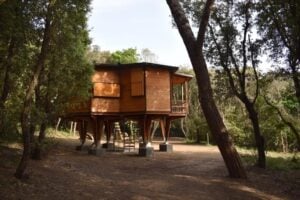 Toscana: a Baratti l’arte contemporanea abita la celebre (ma dimenticata) Casa Esagono di Vittorio Giorgini