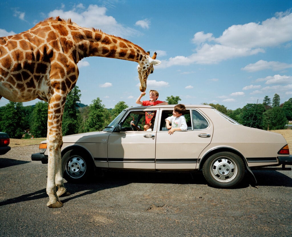 Martin Parr – Ironia & Amore: istruzioni per una vita felice