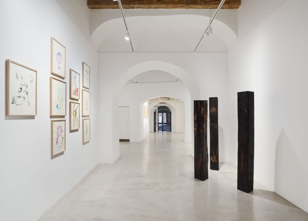 Materia Madre/Lingua Madre, 2026, installation view, Galleria Erica Ravenna. Foto di Roberto Apa, Courtesy Galleria Erica Ravenna