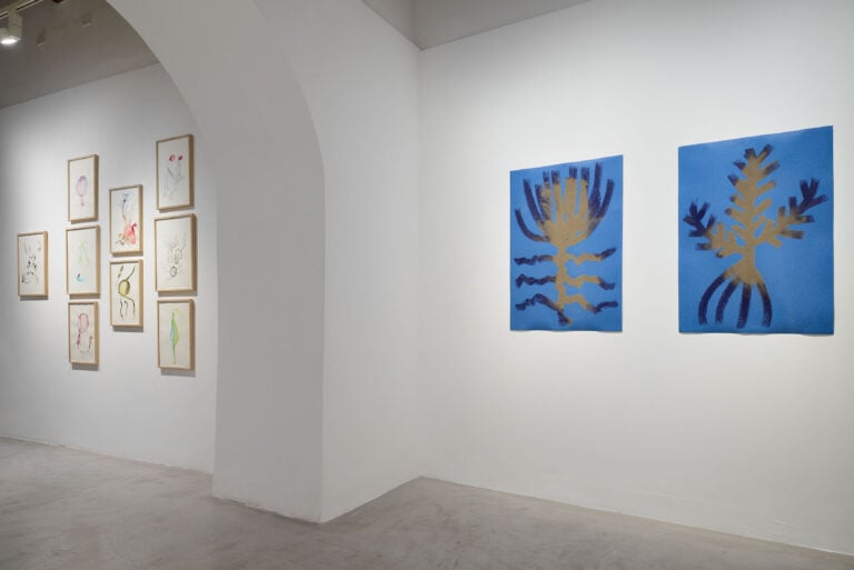 Materia Madre/Lingua Madre, 2026, installation view, Galleria Erica Ravenna. Foto di Roberto Apa, Courtesy Galleria Erica Ravenna