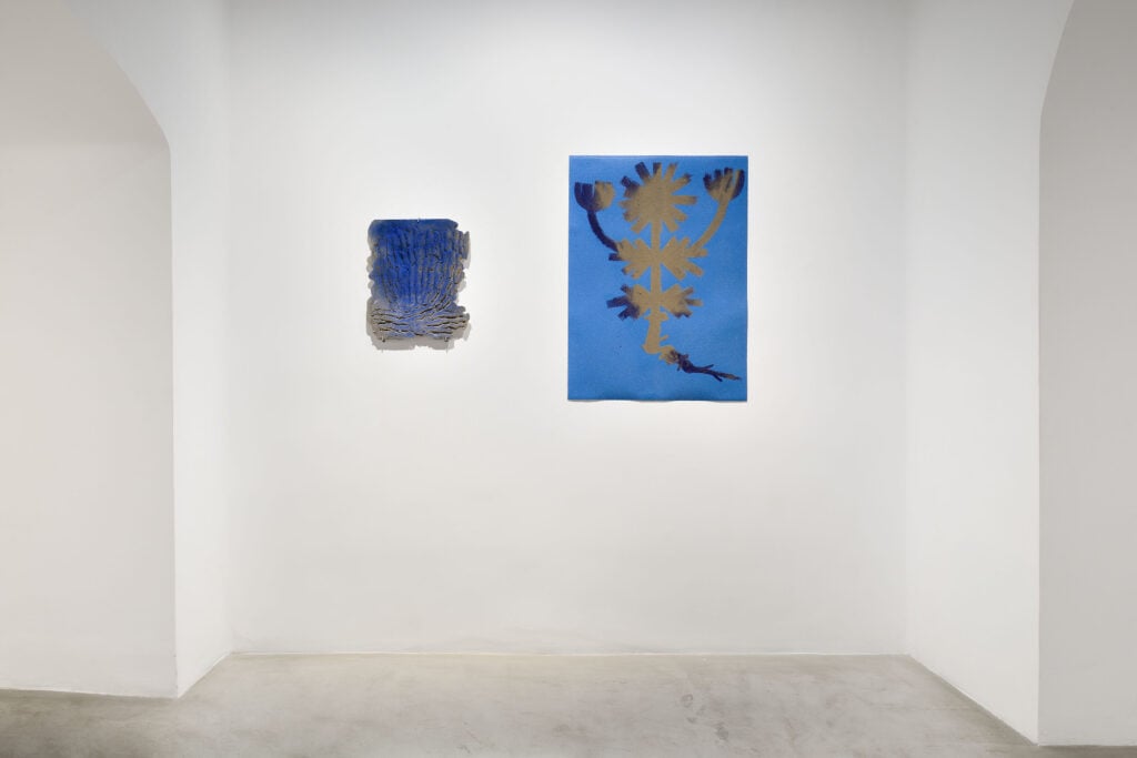 Materia Madre/Lingua Madre, 2026, installation view, Galleria Erica Ravenna. Foto di Roberto Apa, Courtesy Galleria Erica Ravenna