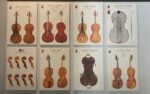 Il Museo del violino di Cremona, 2025. Ph: Gianluca Boccacci