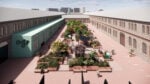 Estati torride: i musei trasformano in giardini ombreggiati i loro spazi esterni. Dopo il MAXXI di Roma, le OGR di Torino