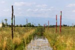 Parco della Pace, channel ecosystem