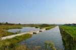 Parco della Pace, stepping stones