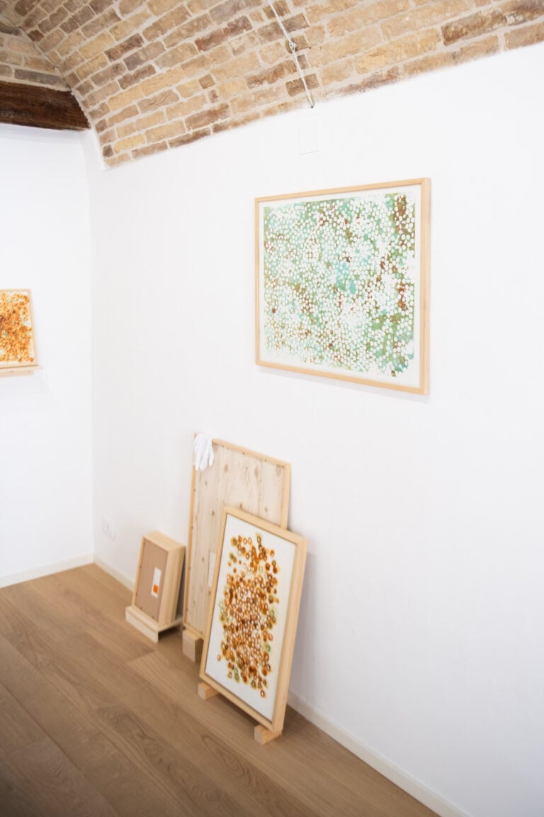 Piotr Hanzelewicz, Heavy Matter. Anatomia del denaro, FIUTO Art Space, Ripatransone, foto Lorenzo Gonnelli
