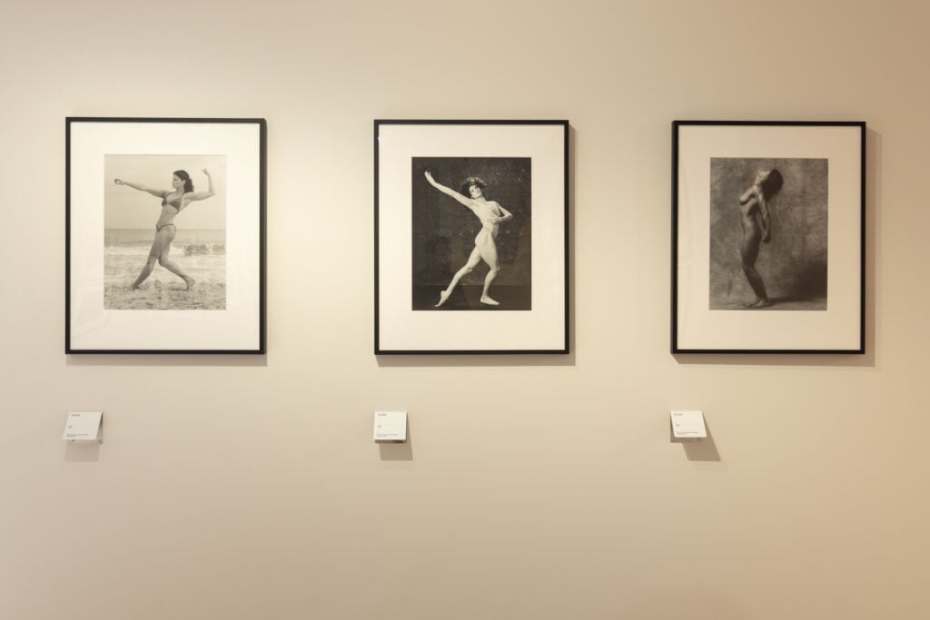Robert Mapplethorpe, Le forme della bellezza, installation view a Museo dell'Ara Pacis. Photo Wps