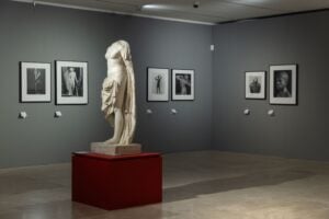 Mapplethorpe cercava la perfezione. A Roma la bellezza diventa ossessione e va in mostra: la recensione 