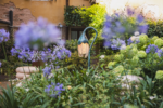 The Secret Garden, Irene Cattaneo. Ph: Enrico Fiorese