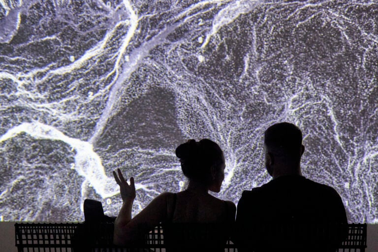 L'installazione &ldquo;Ninety Percent of Everything&rdquo; al Palazzo Ducale di Genova
