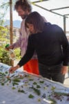 Chiara Camoni, Stampa vegetale su seta, work in progress. Ph Camilla Maria Santini