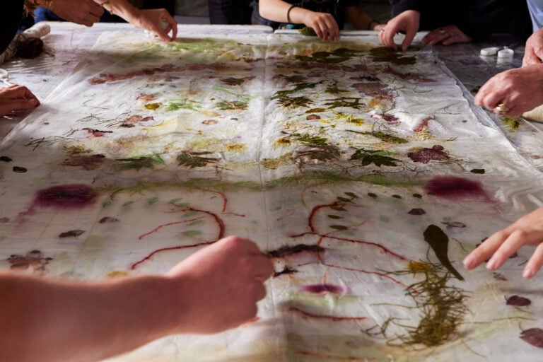 Chiara Camoni, Stampa vegetale su seta, work in progress. Ph Camilla Maria Santini
