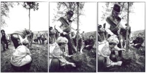 Joseph Beuys - Dialoghi ed energie condivise di Stefano Fontebasso De Martino