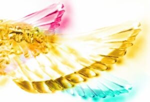 Murano illumina il mondo 2026